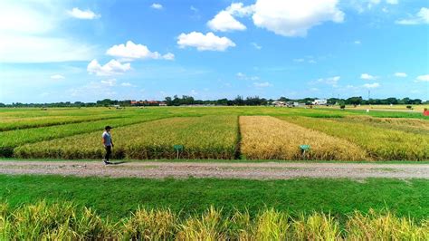 nueva ecija central luzon philippines.